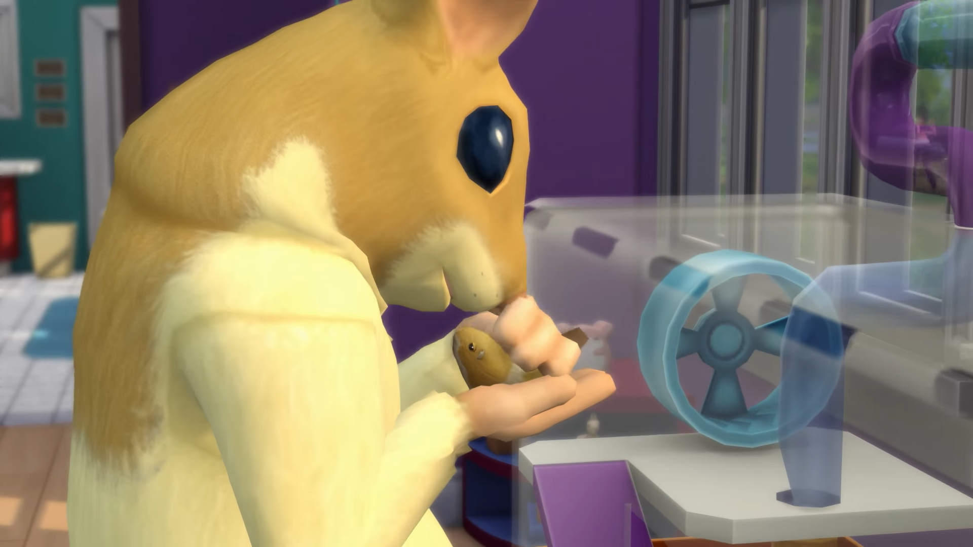 Hamsters Rats And Hedgehogs Are Being Added To The Sims 4 In A New Stuff Pack Dot Esports