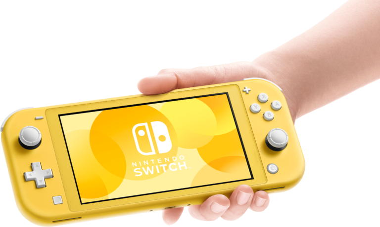 switch lite must have accessories