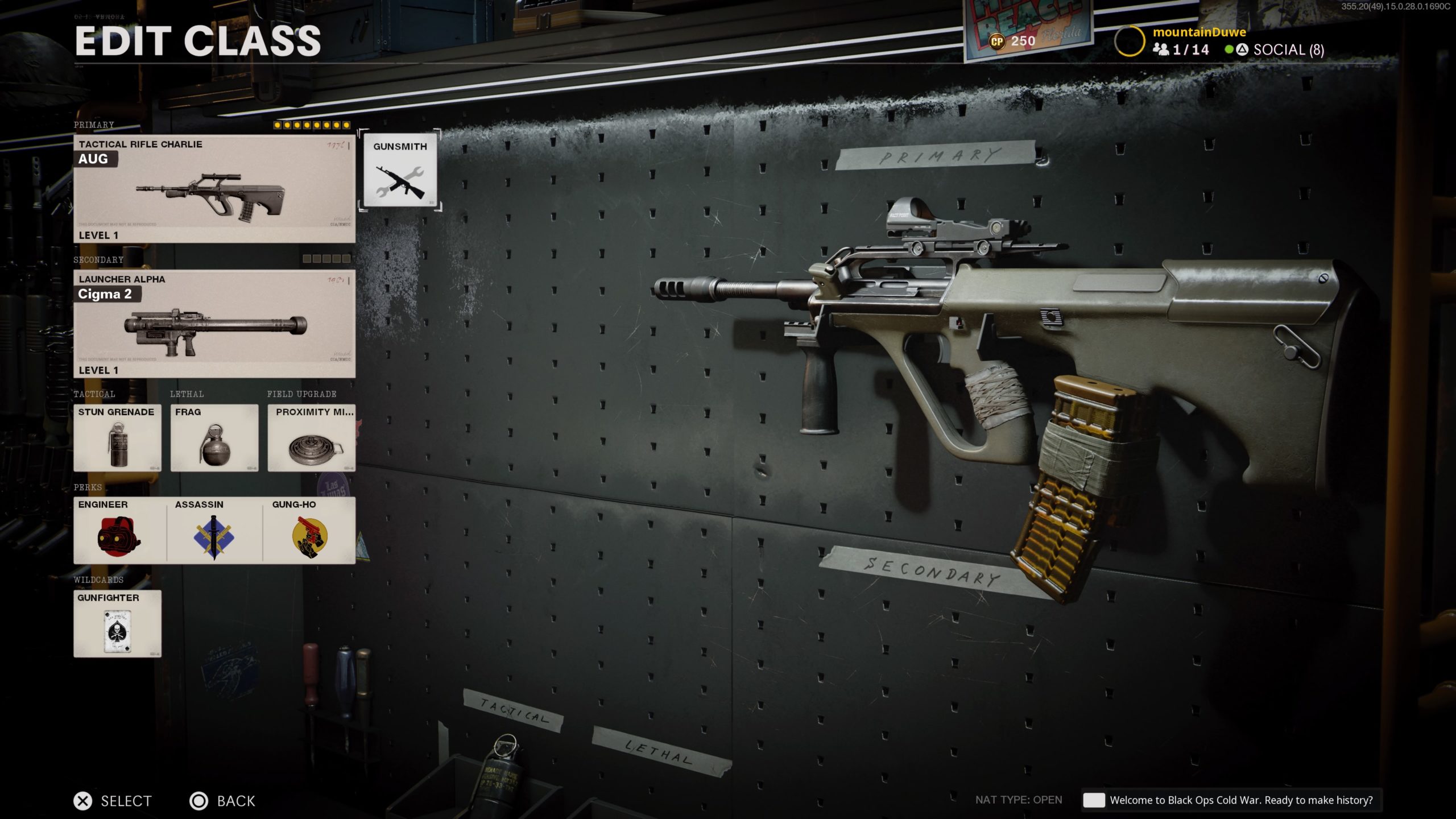 The best AUG loadouts in Call of Duty Black Ops Cold War Dot Esports