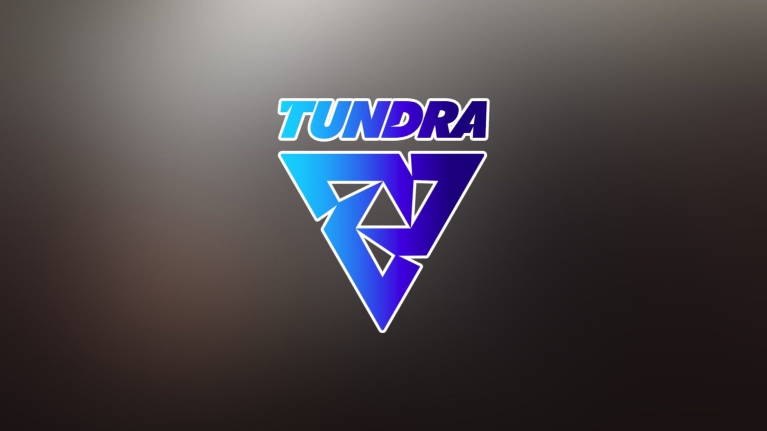 Tundra Esports enters Dota 2 with mudgolems signing  Dot Esports