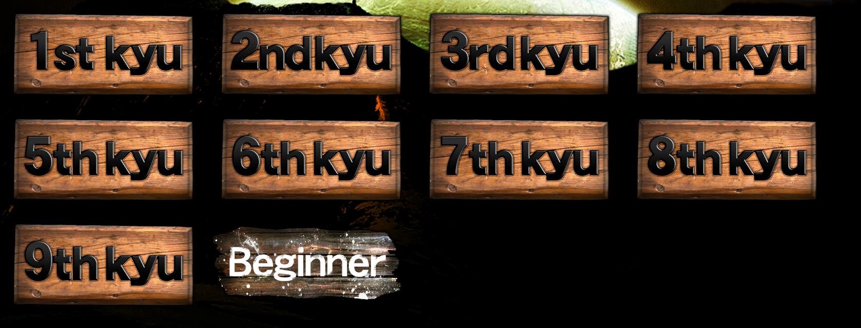 Tekken ranks in order