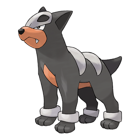 fogo pokemon, este e um cachorro de fogo o arcanine, myofkilly