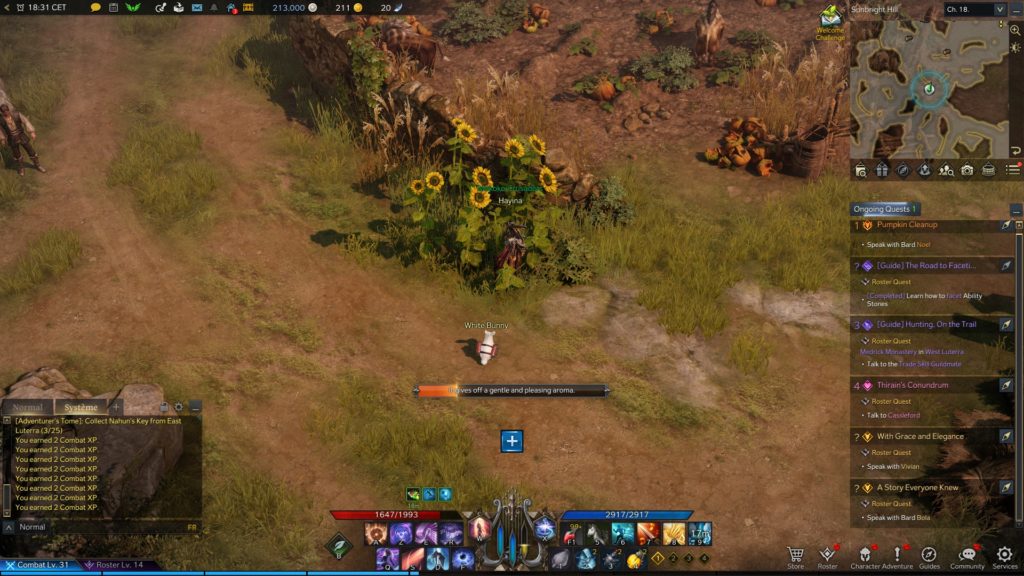 All Mokoko Seed locations in Sunbright Hill in Lost Ark Dot Esports