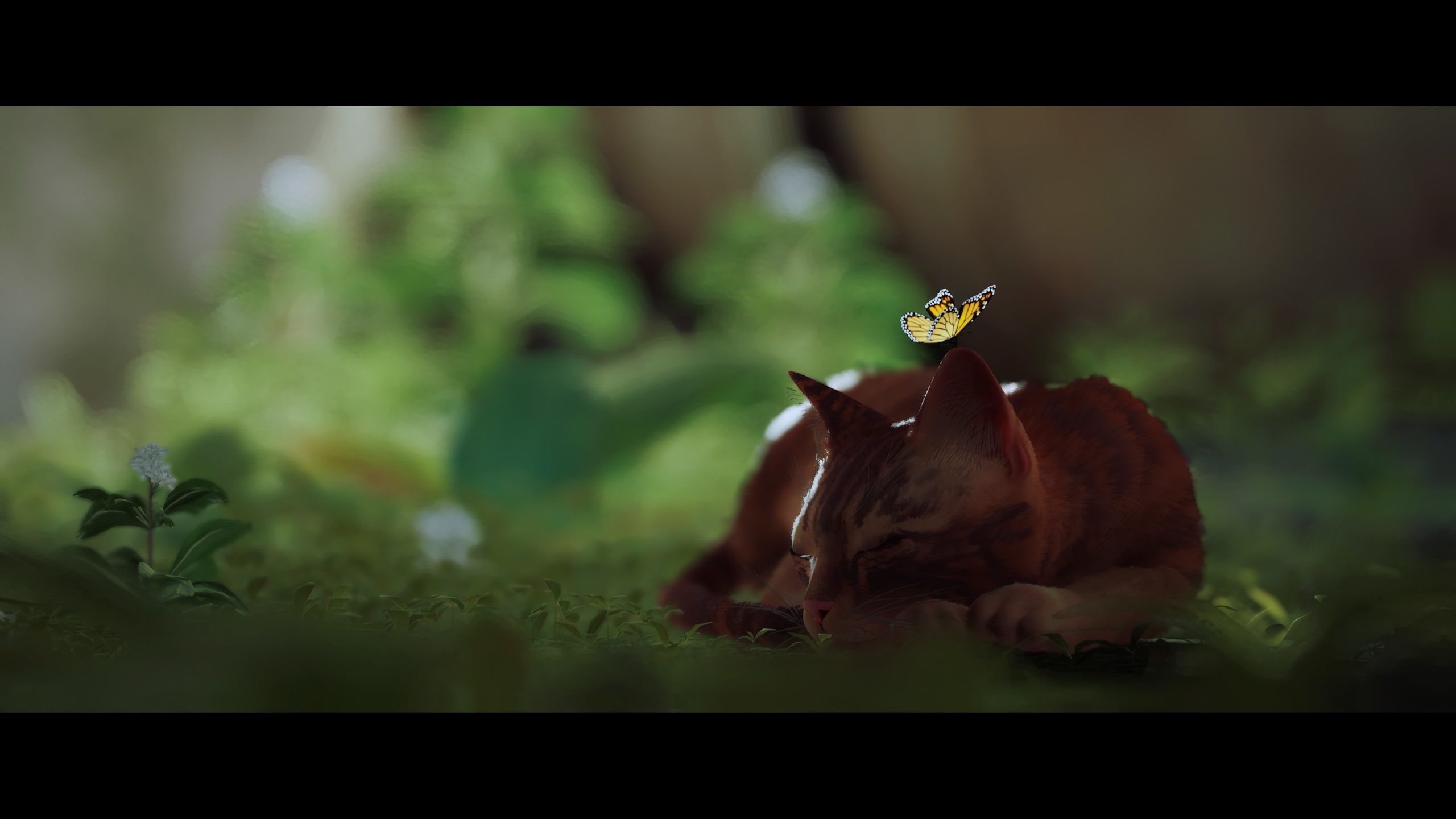 How to get the electrical cable in Stray Dot Esports