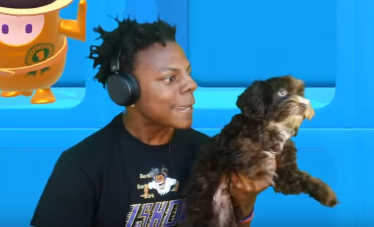 Why Would A Dog Scream