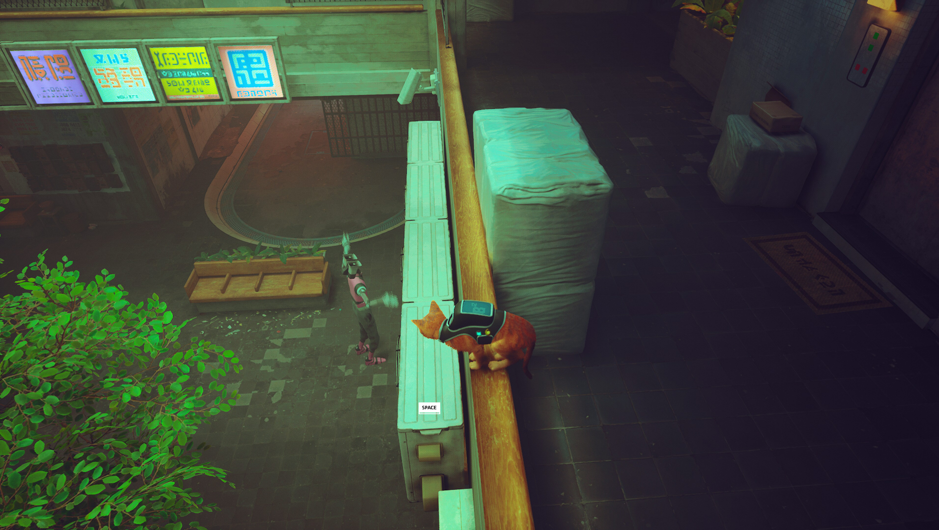 Where to find the cassette tape in Stray Dot Esports