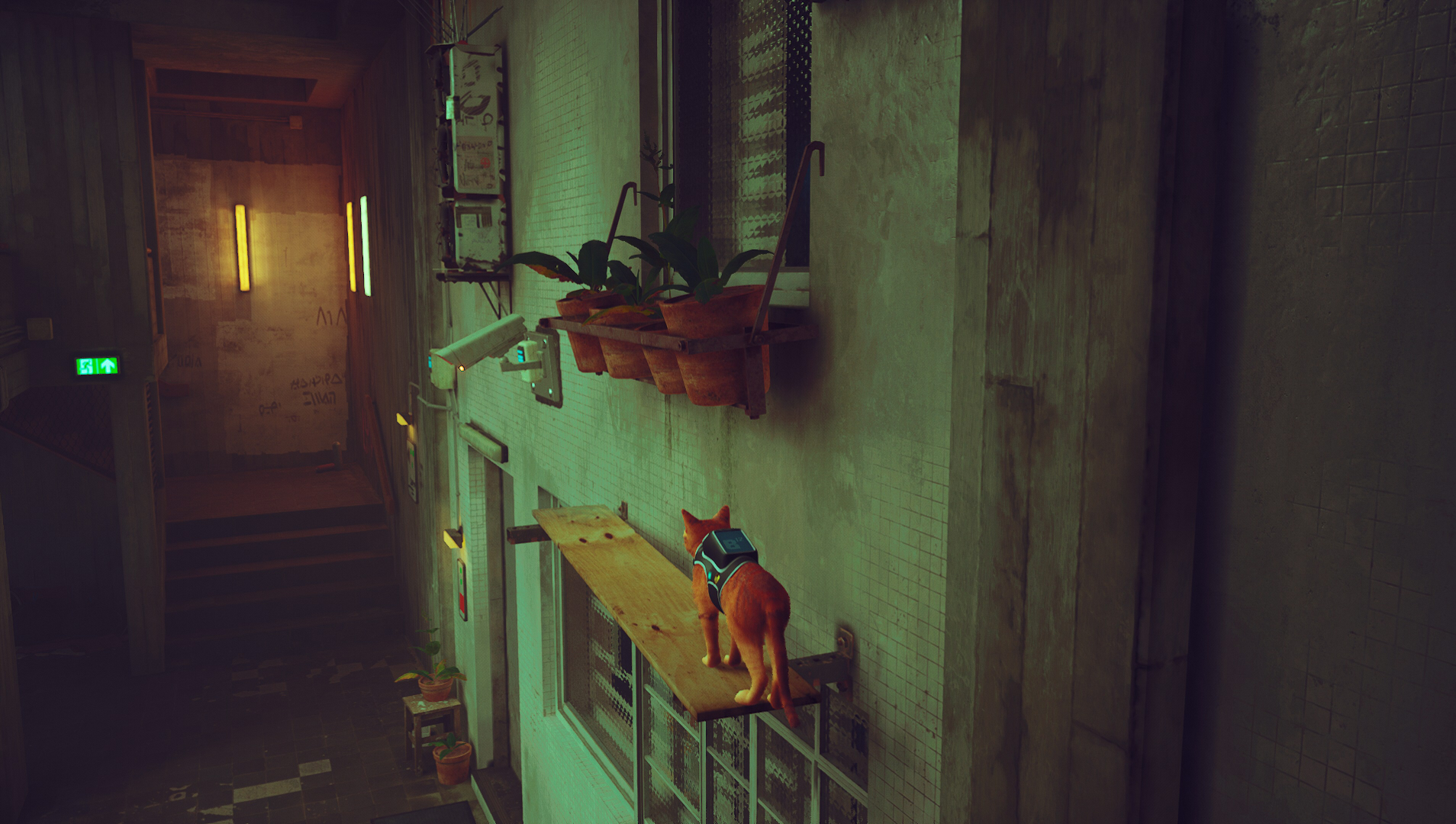 Where to find the cassette tape in Stray Dot Esports