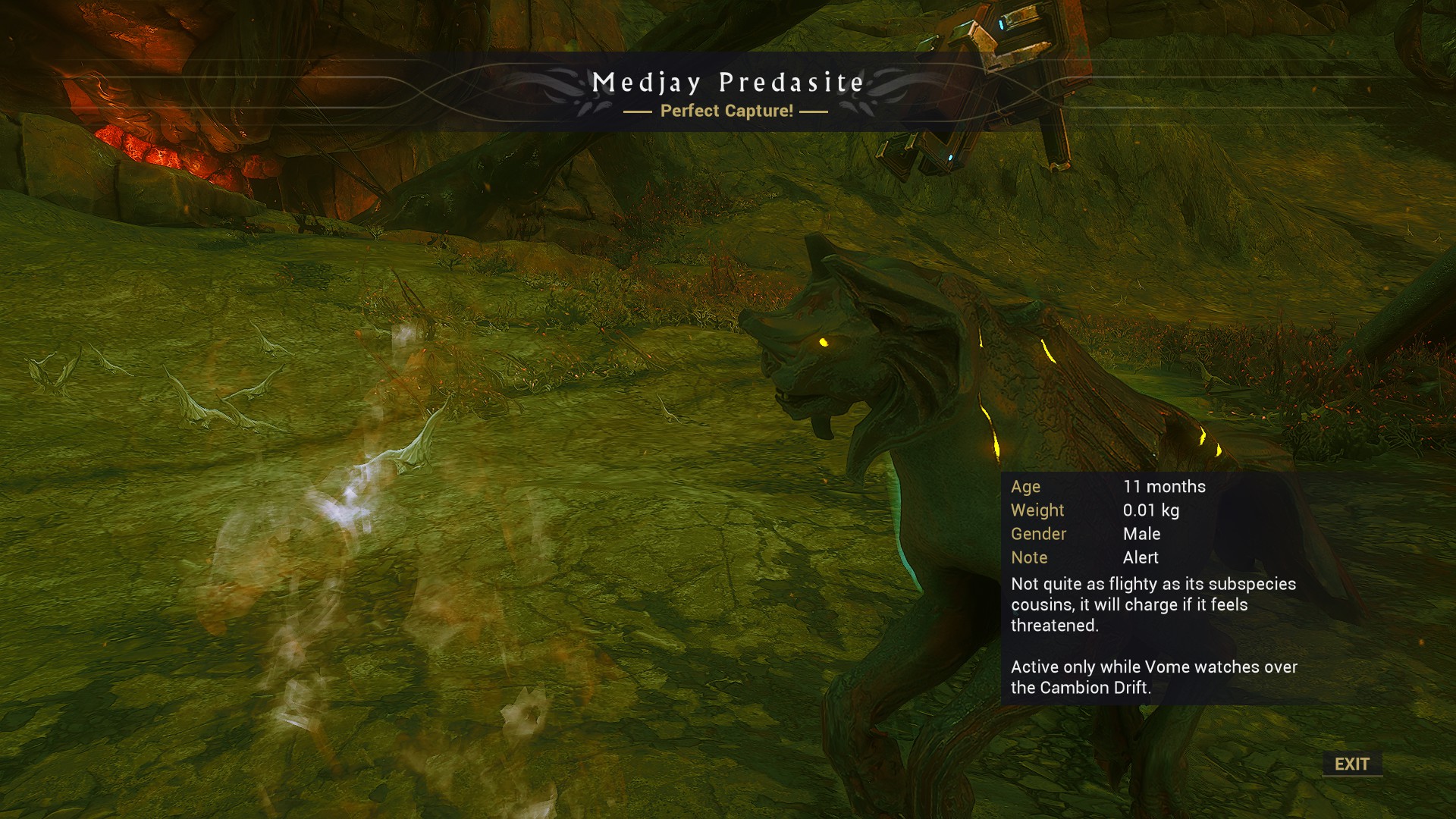 How to get Medjay Predasite Tags in Warframe Dot Esports