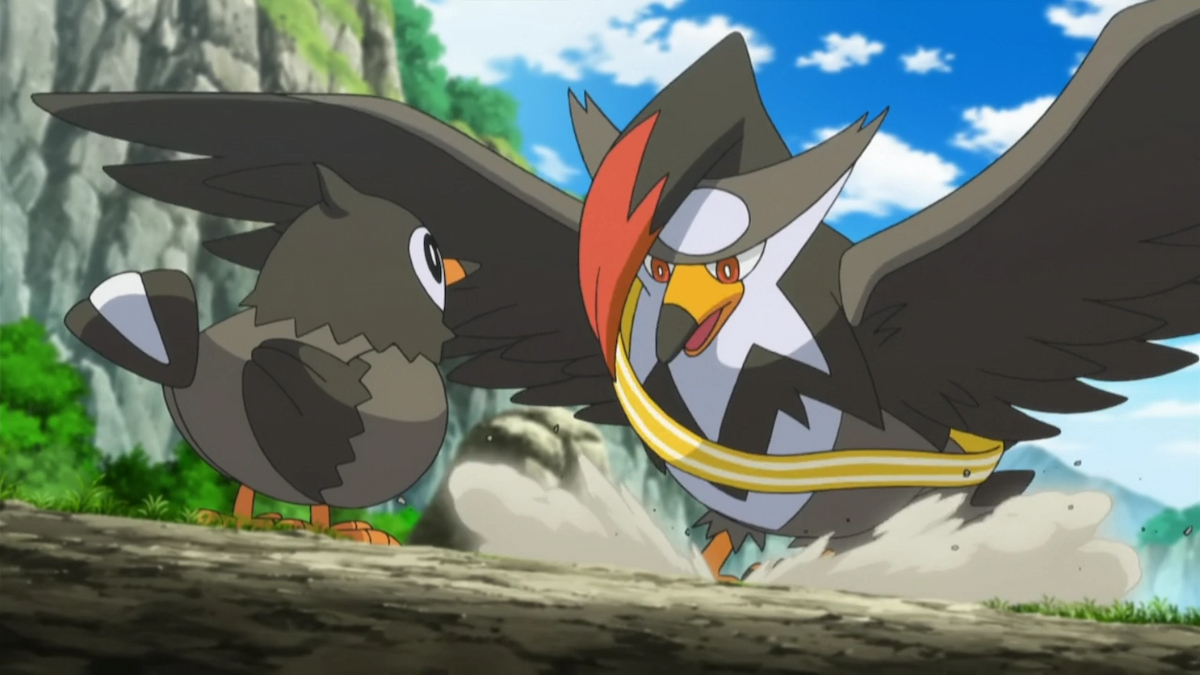 Staraptor looking at a Starly. Flying-type pokemon battling