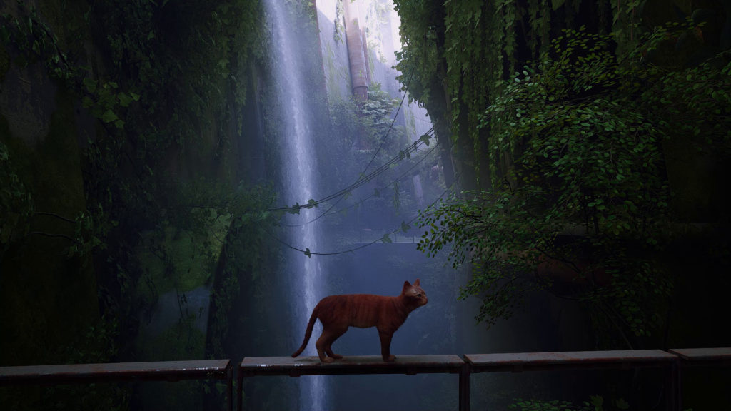 Orange cat standing on a beam in front of a waterfall