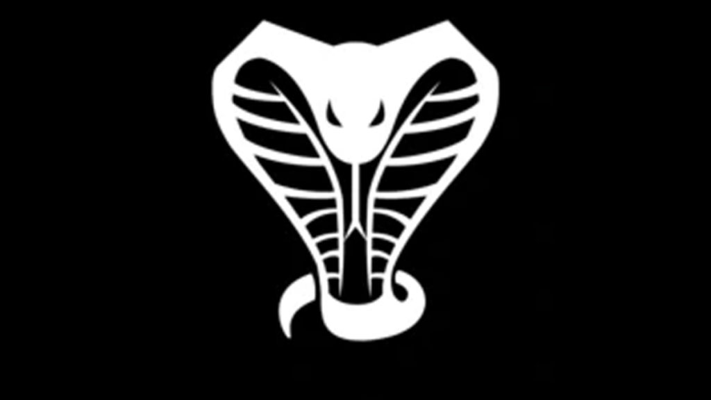 Fortnite Banner Cobra