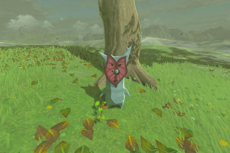 Breath of the Wild player gets all 900 Korok seeds in 10 minutes with