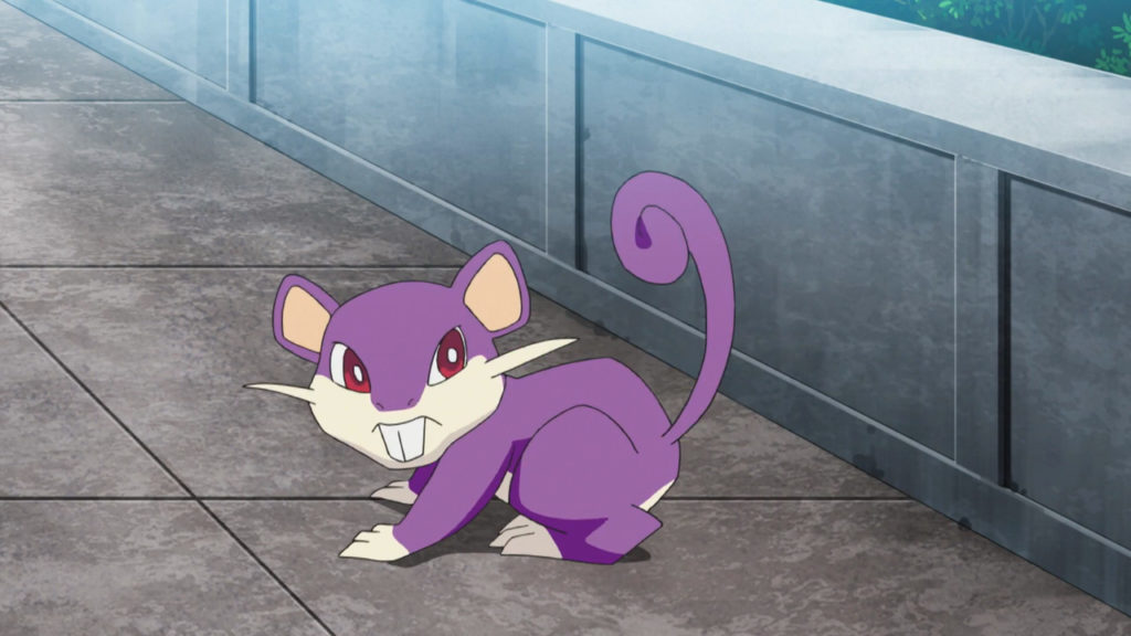 A Rattata sits next to a wall.