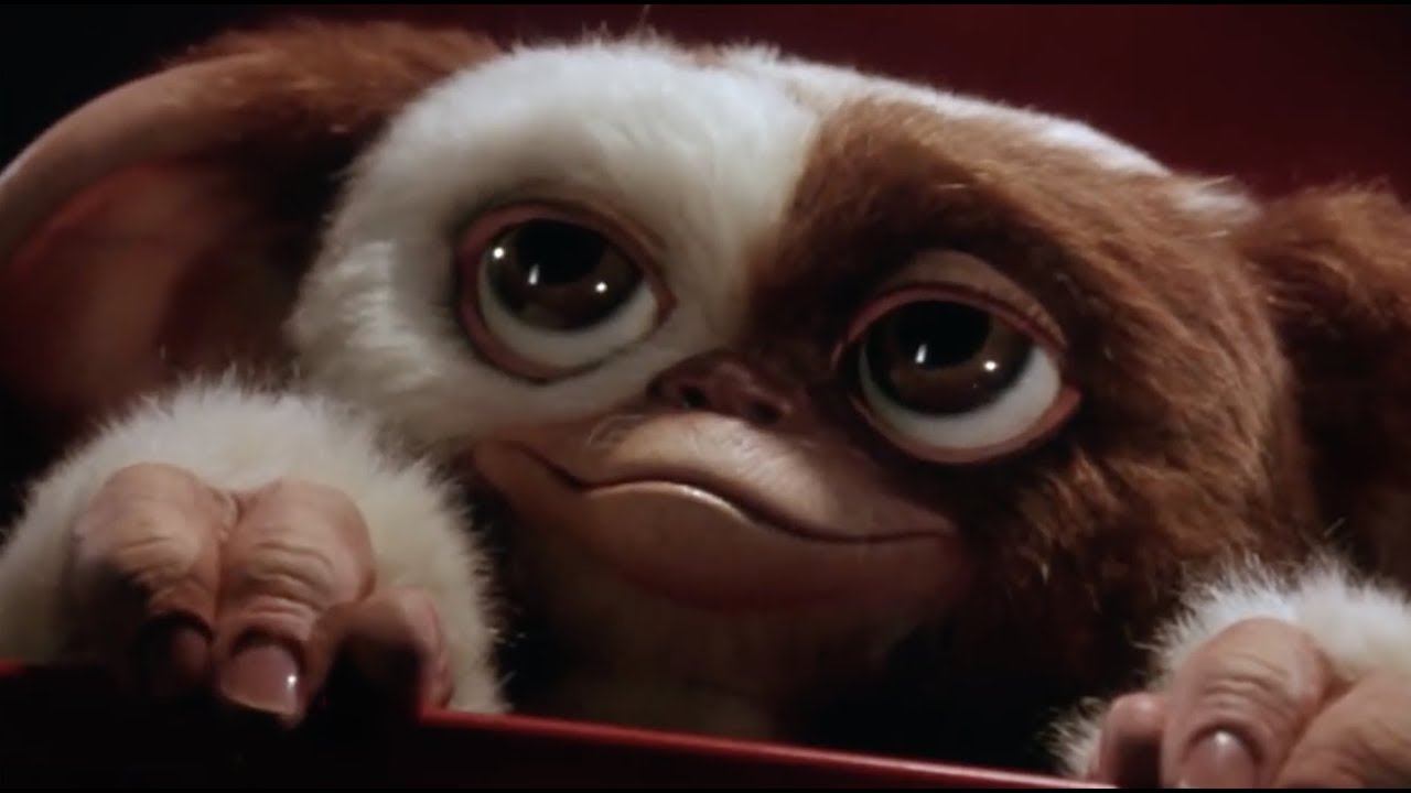 An image from Gremlins showing Gizmo peaking out of a box