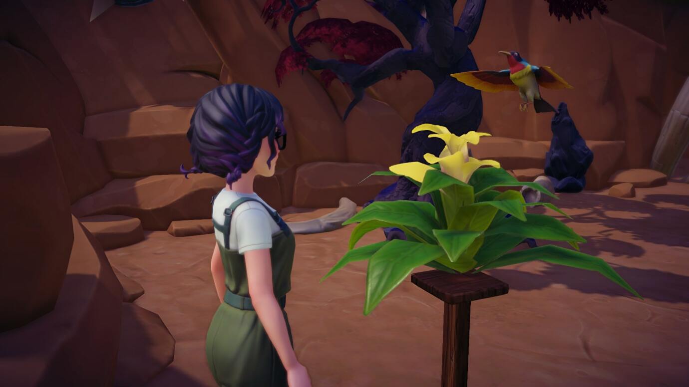 Where to find Yellow Bromeliad in Disney Dreamlight Valley Dot Esports