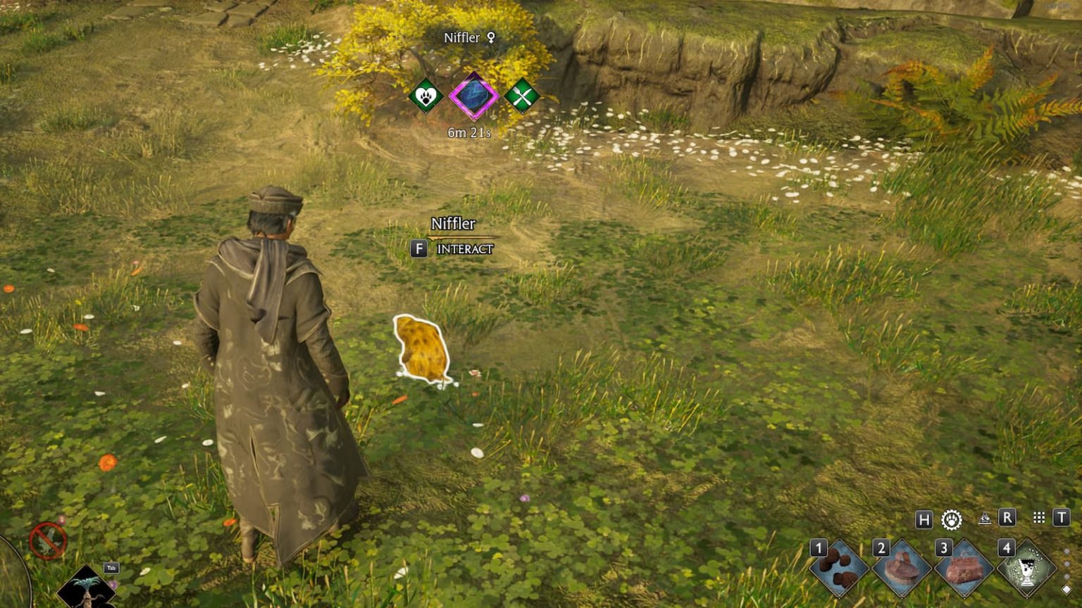 How to get a Niffler in Hogwarts Legacy Dot Esports